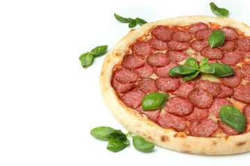 Concept of tasty food with Salami pizza on white background