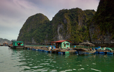 Halong Bay. Vietnam.Taken in January.