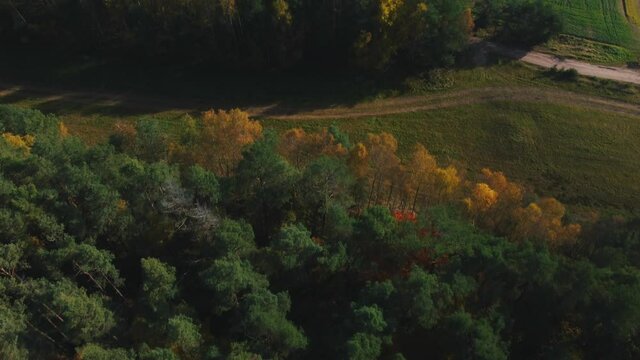 An aerial view of an autumnal forest and agricultural field in Coburg Bavaria, Germany