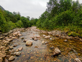 river in the forest , picture taken in Lofoten Islands, Norway, Europe