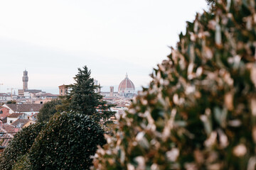 Vista de Florencia desde la plaza de Miguel Angel