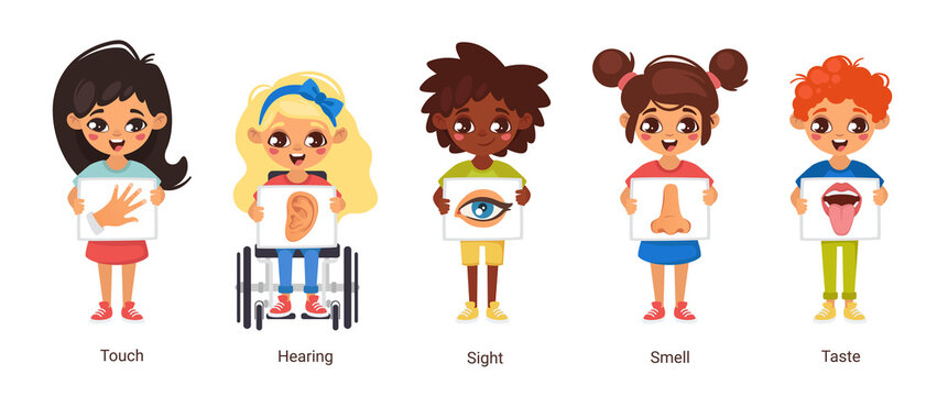 cartoon style illustration of five human senses