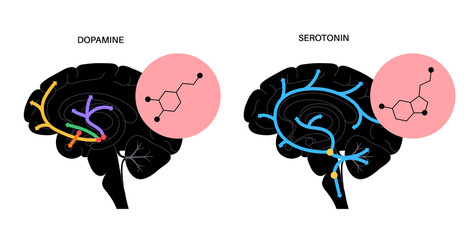 Serotonin dopamine formula