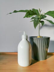 Body lotion in white dispensser bottle and avocado tree in grey pot.