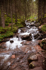 Beautiful landscape of a waterfall in the forest with water and stones in the foreground