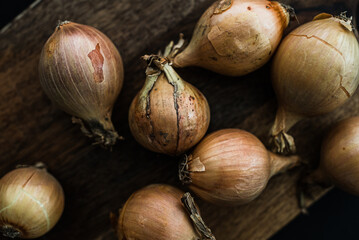 Raw yellow onion on the black background, Onion flat lay, vegetarian fresh, close up photo 