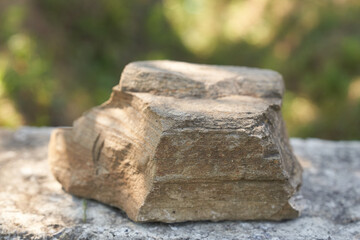 Stone on the background of green plants, the perfect podium for your product, natural background with textured pedestal. High quality photo