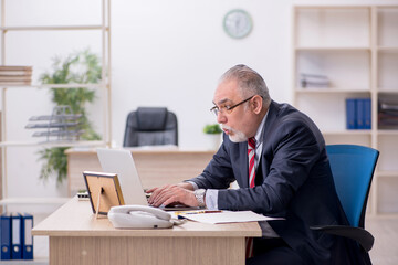 Old male employee working in the office