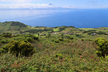 Fototapeta na wymiar The green landscape of the island of Sao Jorge, Azores