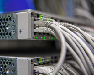 network cables connected to a network