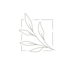Botanical hand drawn monochrome art decor with branch leaves at squared frame simple logotype