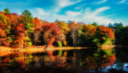 Fototapeta na wymiar Autumn Leaves around Lily Lake at Chenango Park in Upstate NY.