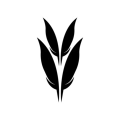 Hair wave logo vector icon template