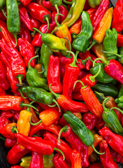 Overhead view of Habanero peppers