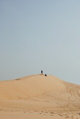 ISOLATED IN THE NATURE - GRANDE DUNE DU PILAT, FRANCE