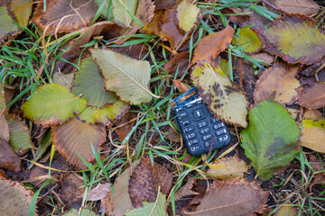there is a broken phone in a pile of foliage