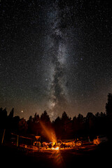 Fototapeta na wymiar Camp Fire and Milkyway Night Sky