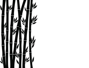Fototapeta na wymiar Black Bamboo stems on the white background