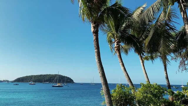 Branches of palm trees are developed by strong wind. Dense greenery of coconut palms moves against the background of blue sky. Shore of the island. Yachts and boats can be seen on blue water of sea