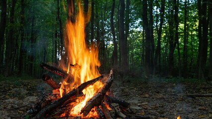 Burning fire. The bonfire burns in the forest. Texture of burning fire. Bonfire for cooking in the forest. Burning dry branches. Tourist fire in the forest. Texture of burning branches