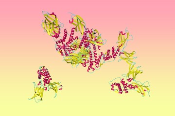 Crystal structure of interleukin-21 receptor complex. Ribbons diagram in secondary structure coloring based on protein data bank. Scientific background. 3d illustration