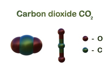 Structural chemical formula and molecular model of carbon dioxide (carbon anhydride), a colorless, odorless, incombustible gas resulting from the oxidation of carbon. 3d illustration