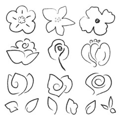 Hand drawn black flowers and leaves set