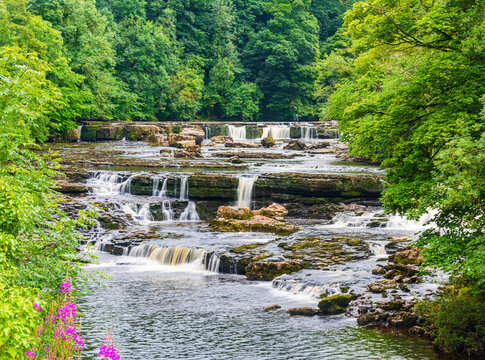 Aysgarth Falls in the Yorkshire Dales