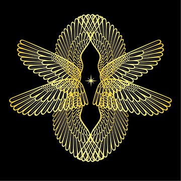 Cartoon drawing:  set of gold transparent wings.  Vector illustration isolated on a black background.