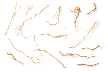 Dried vetiver roots isolated on white background, top view