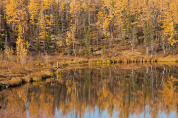 autumn landscape with a lake and a fisherman