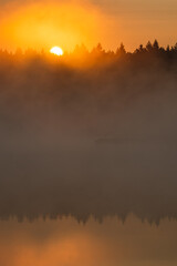 Sun rising above misty forest