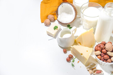 Vegan non-dairy products. Plant-based alternative dairy products – milk, cream, butter, yogurt, cheese, with ingredients - chickpeas, oatmeal, rice, coconut, nuts