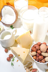 Vegan non-dairy products. Plant-based alternative dairy products – milk, cream, butter, yogurt, cheese, with ingredients - chickpeas, oatmeal, rice, coconut, nuts