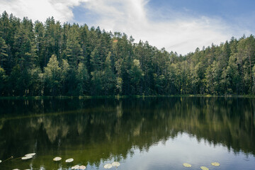 small forest lake surrounded by trees 