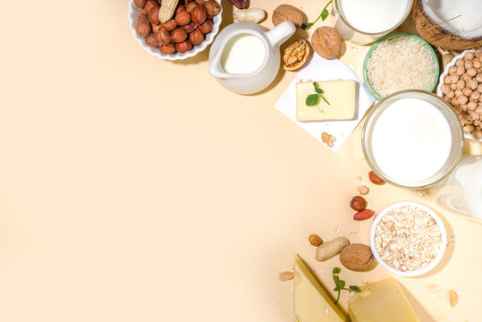 Vegan non-dairy products. Plant-based alternative dairy products &ndash; milk, cream, butter, yogurt, cheese, with ingredients - chickpeas, oatmeal, rice, coconut, nuts