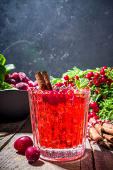 Spicy cranberry cocktail with cinnamon stick and mint