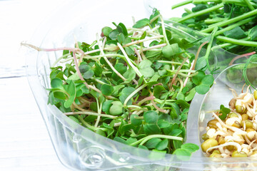 Microgreen sprouts in close-up in a plastic wrapping on a white isolated background. Mash, peas, radishes - a mix of legumes. View from above
