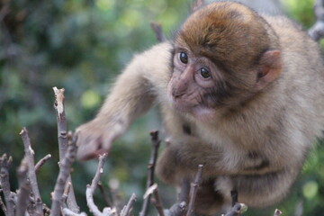 First attempt for my photography history © Bartomiej