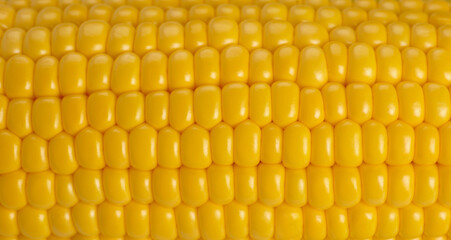 Close up or macro view of corn texture