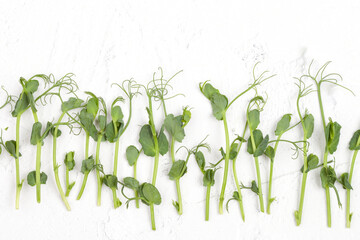 Fototapeta na wymiar Fresh pea microgreen sprouts isolated on white. Healthy food.