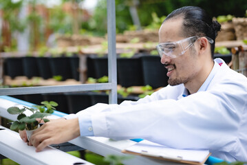 plant medicine biology scientist research concept, outdoor agricultural technology laboratory field