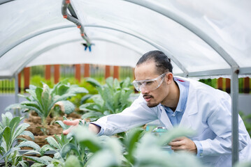 plant medicine biology scientist research concept, outdoor agricultural technology laboratory field