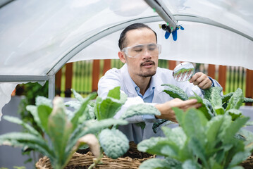 plant medicine biology scientist research concept, outdoor agricultural technology laboratory field