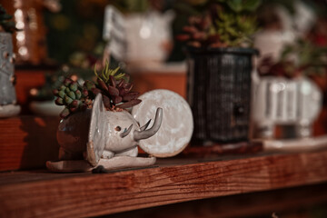 アニマルプランター