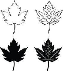 Realistic Maple Leaf Clipart Set - Outline and Silhouette