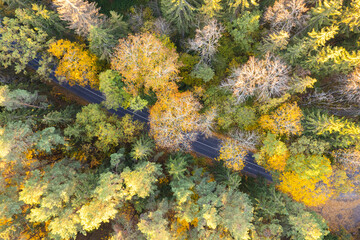 Aerial autumn fall sunny day view of road