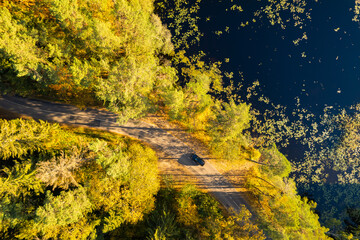 Naklejka premium Aerial autumn fall sunny day view of road