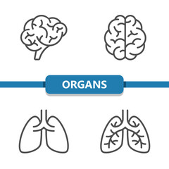 Internal Organs Icons