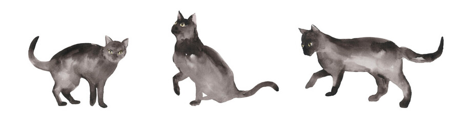Halloween black cats Hand drawn watercolor pictures